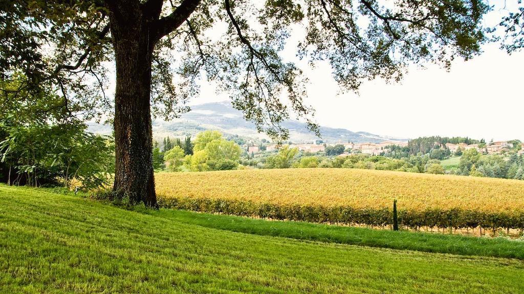 Casa Fabbrini Agriturismo San Casciano dei Bagni Bagian luar foto